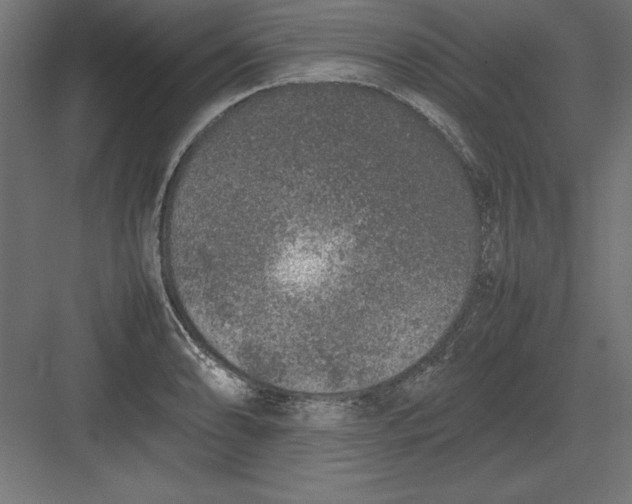 X0000082141086200702092119