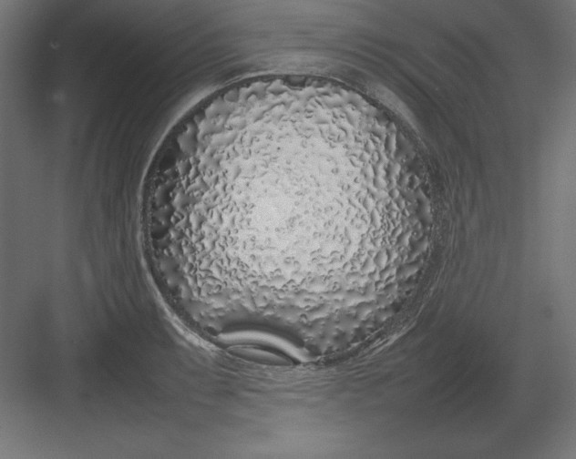 X0000082141087200702092119