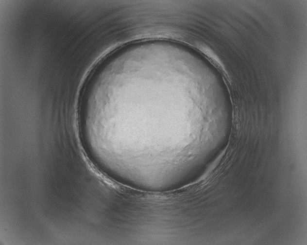 X0000082141088200702092119