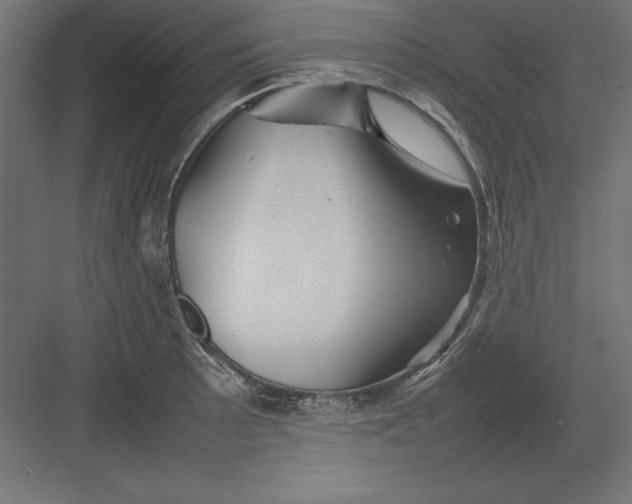 X0000082141089200702092119