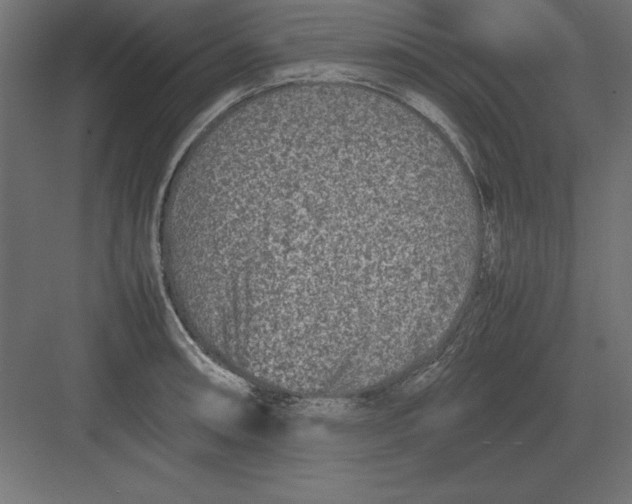 X0000082141090200702092119