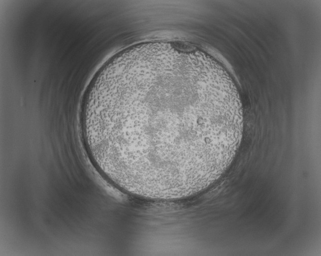 X0000082141091200702092119