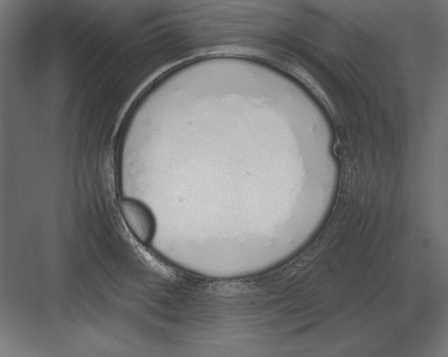 X0000082141092200702092119