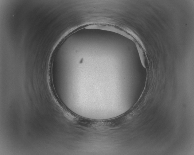 X0000082141093200702092119