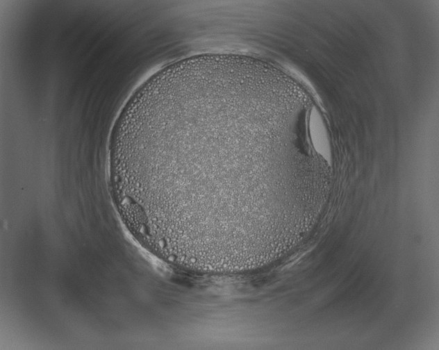 X0000082141095200702092119