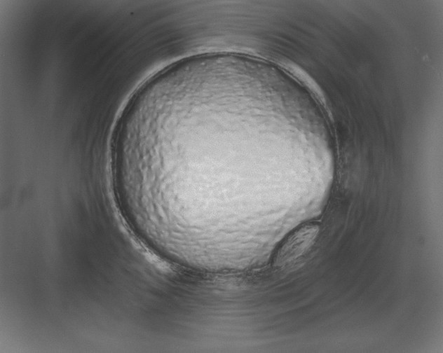 X0000082141096200702092119