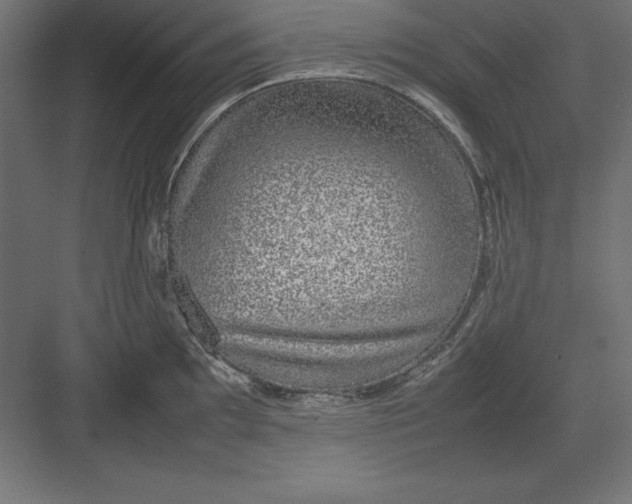 X0000082141097200702092119