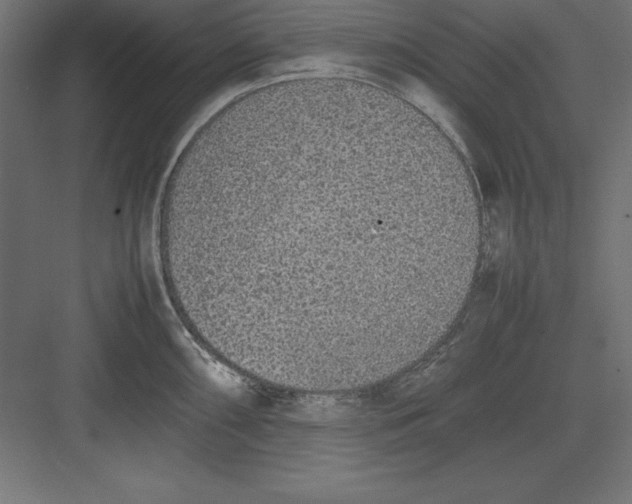 X0000082141098200702092119