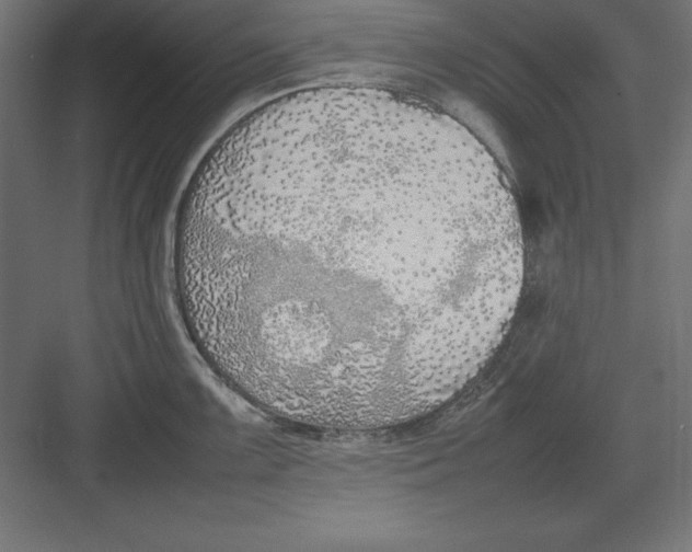 X0000082141099200702092119