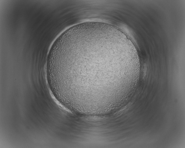 X0000082141100200702092119