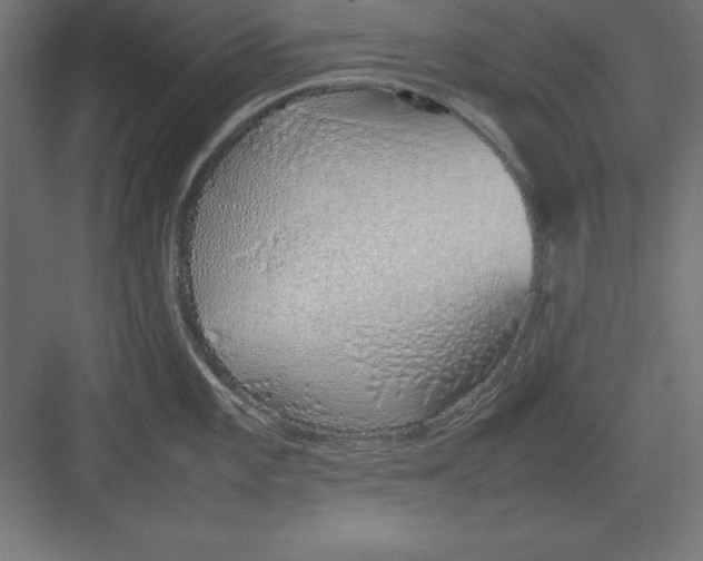 X0000082141101200702092119