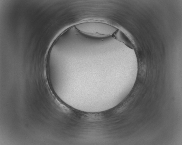 X0000082141102200702092119