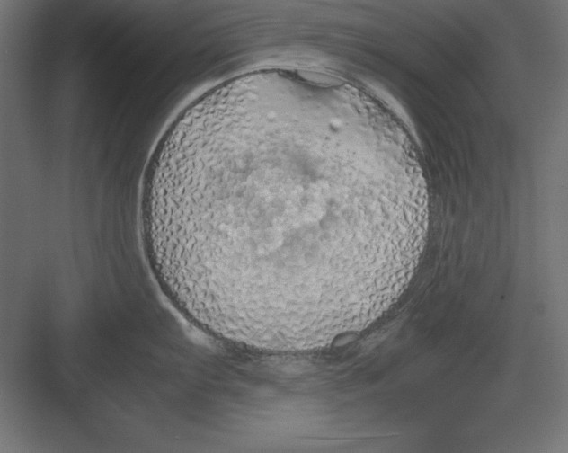 X0000082141103200702092119