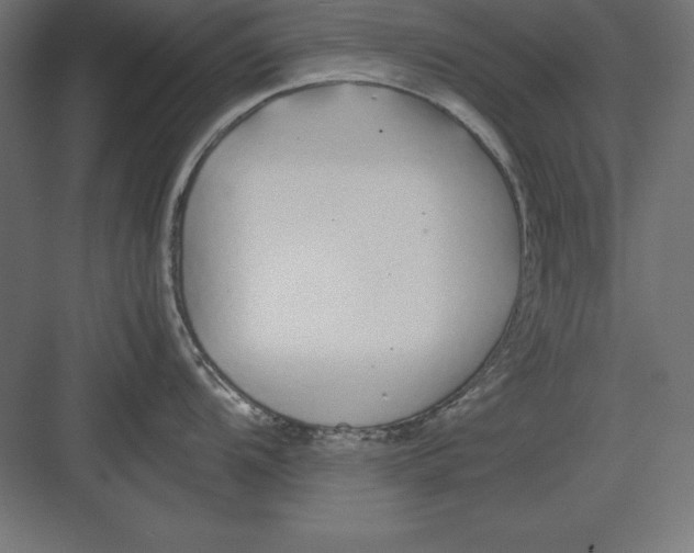 X0000082141104200702092119