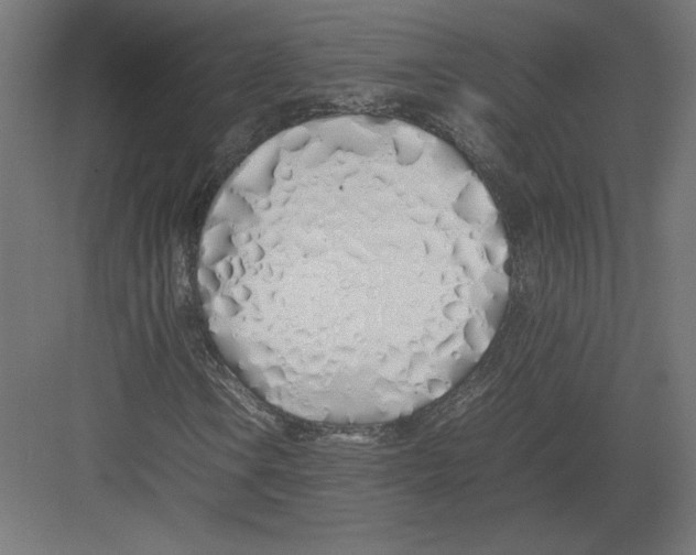 X0000082141106200702092118