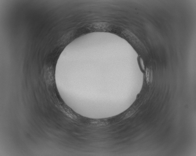 X0000082141107200702092118