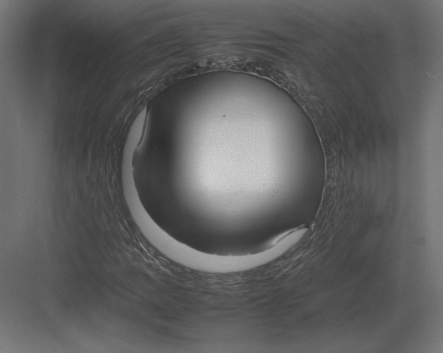 X0000082141109200702092118