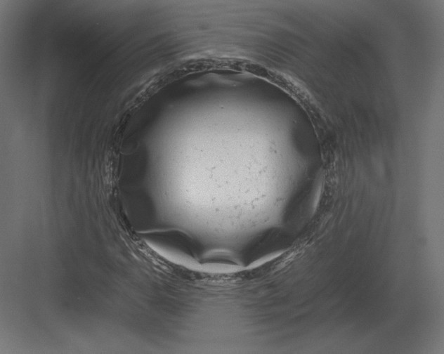 X0000082141110200702092118