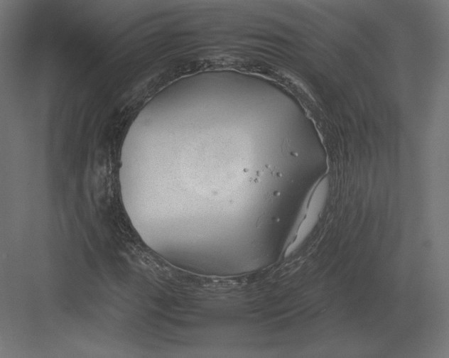 X0000082141111200702092118