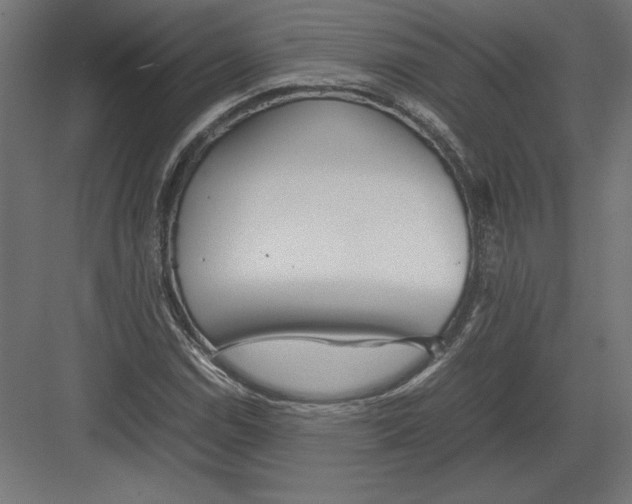 X0000082141114200702092118