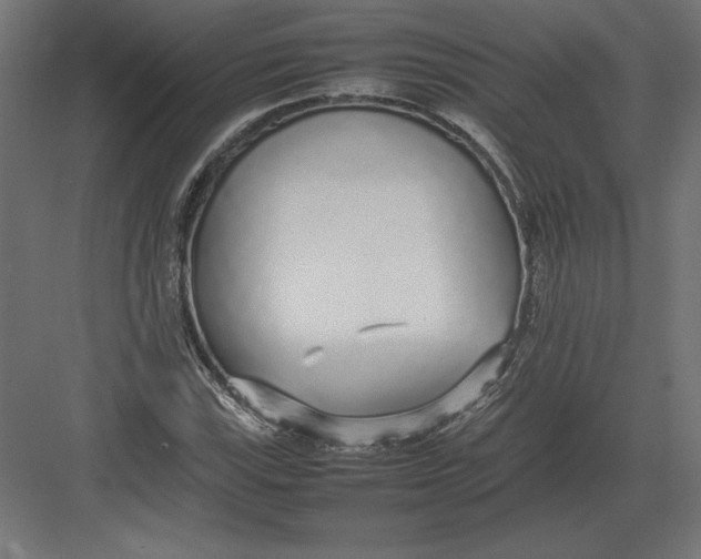 X0000082141115200702092118