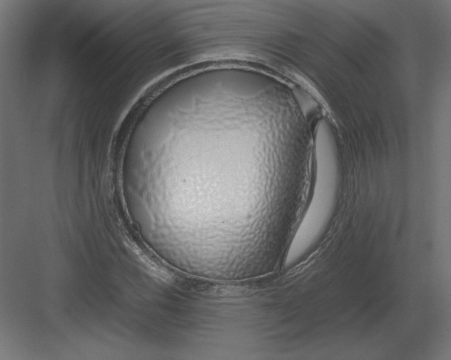 X0000082141116200702092118