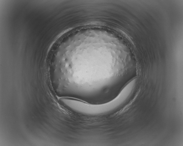 X0000082141117200702092118