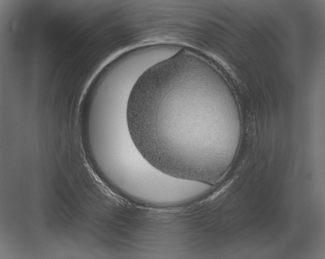 X0000082141118200702092118