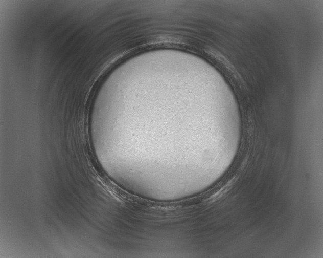 X0000082141121200702092118