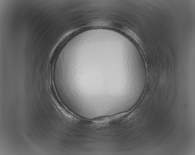 X0000082141123200702092118