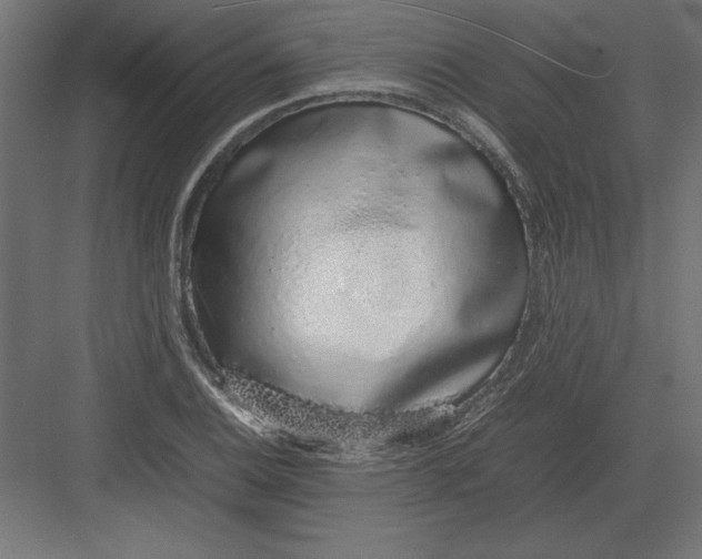 X0000082141124200702092118