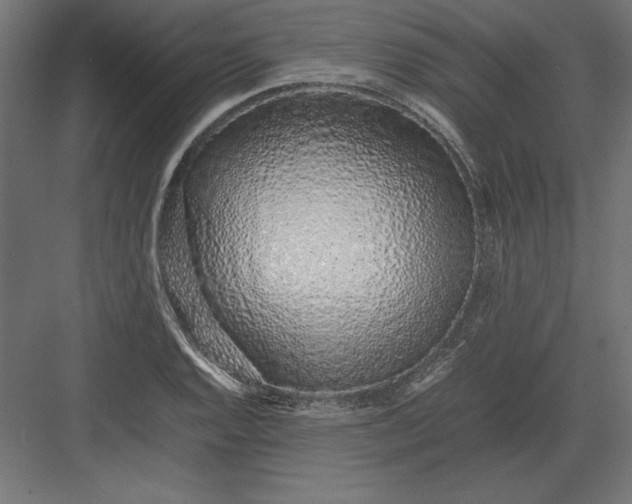 X0000082141128200702092118