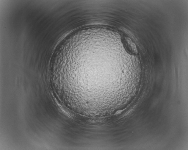 X0000082141129200702092118