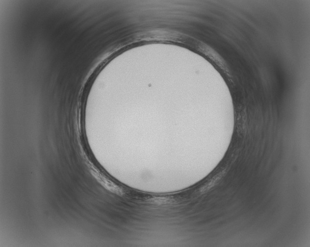 X0000082141130200702092118