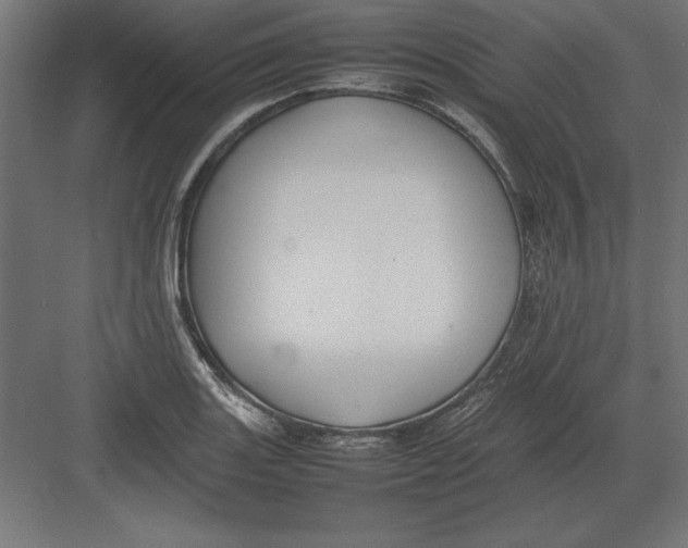 X0000082141131200702092118