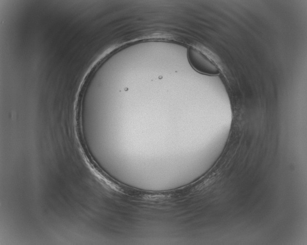 X0000082141135200702092118