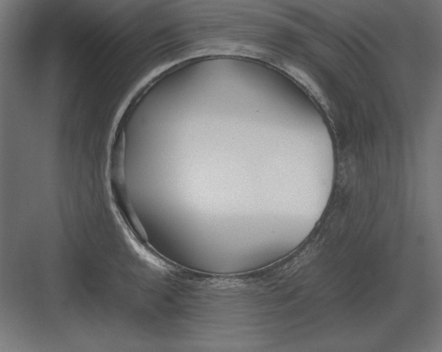 X0000082141136200702092118