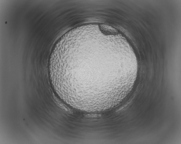 X0000082141137200702092118