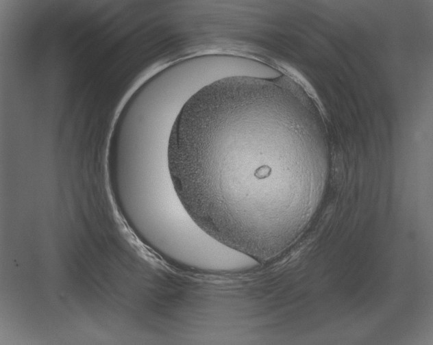 X0000082141138200702092118