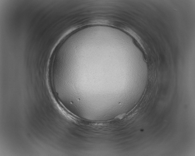 X0000082141139200702092118