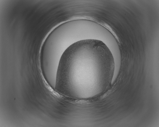 X0000082141140200702092118