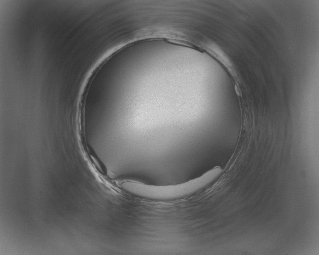 X0000082141144200702092118