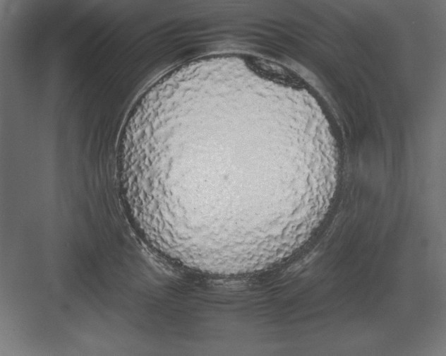 X0000082141145200702092118