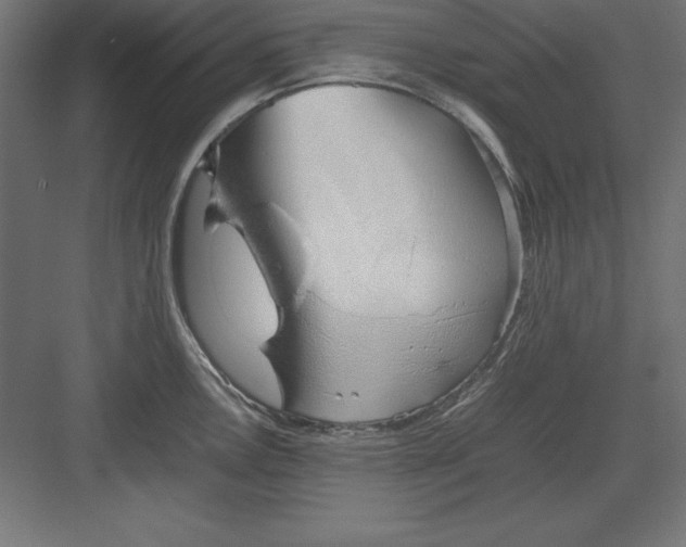 X0000082141146200702092118