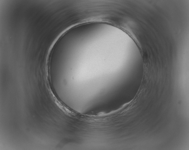 X0000082141148200702092119