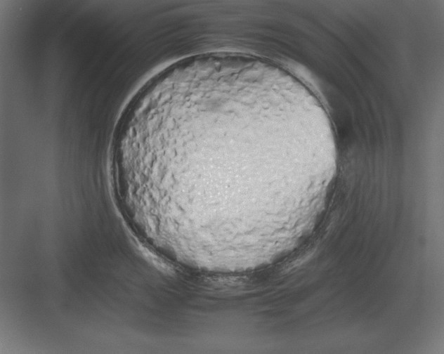 X0000082141149200702092119