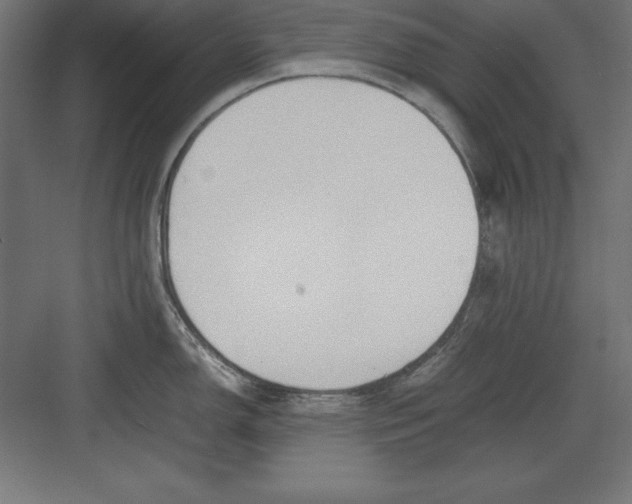 X0000082141150200702092119