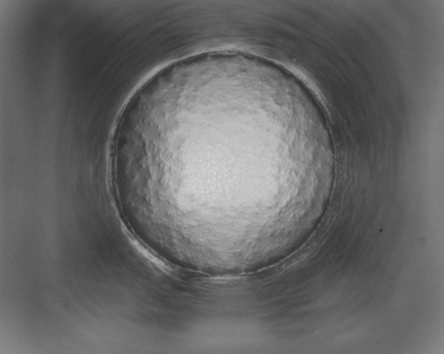 X0000082141151200702092119