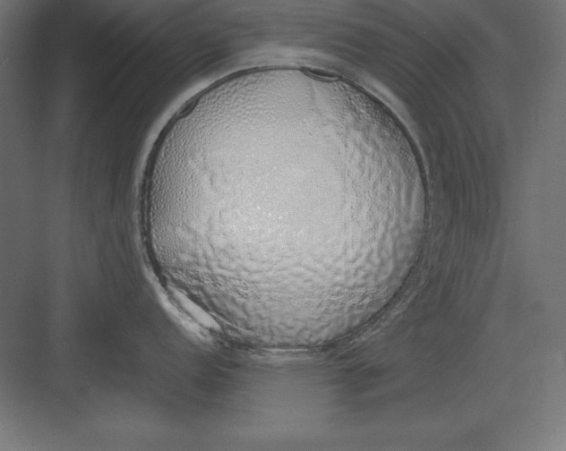 X0000082141152200702092119