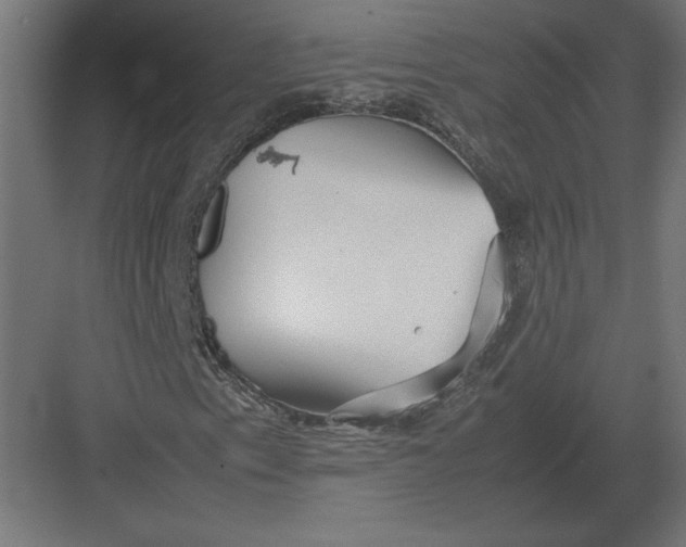 X0000082141153200702092118